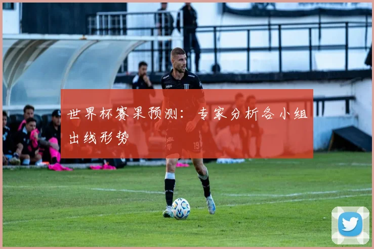 世界杯赛果预测：专家分析各小组出线形势